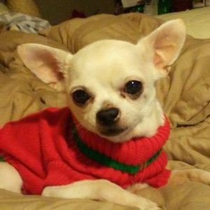 Meet your Posher, Norma